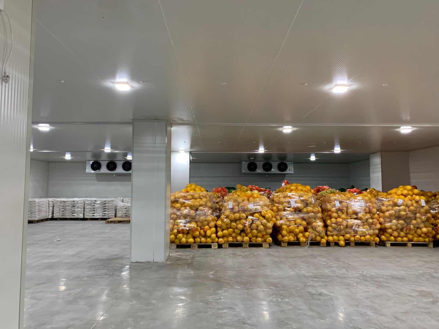 建一套農(nóng)產(chǎn)品蔬菜保鮮冷庫(kù)安裝需要多少錢? 建一套農(nóng)產(chǎn)品蔬菜保鮮冷庫(kù)安裝需要多少錢?