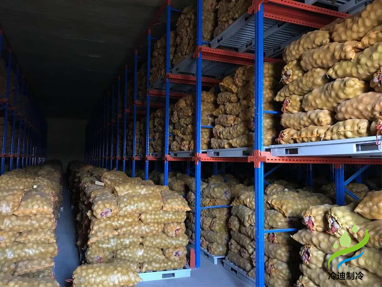 建造100噸土豆冷庫(kù)面積及冷庫(kù)造價(jià)多少錢？