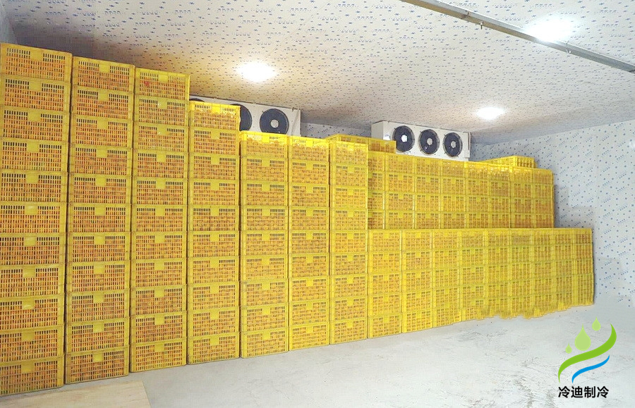 柑橘冷庫(kù)保鮮溫度，柑橘冷庫(kù)儲(chǔ)存1-9個(gè)月方法介紹