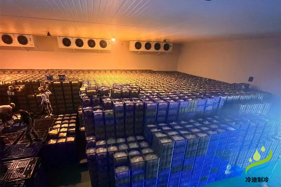 建設大型冷庫造價多少錢一平方米？